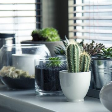 energy efficient window energy efficient window